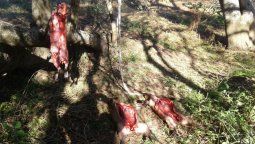 Armados hasta los dientes en las islas