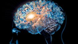 Este es el ejercicio que debes hacer para mantener tu cerebro joven y tener buena memoria