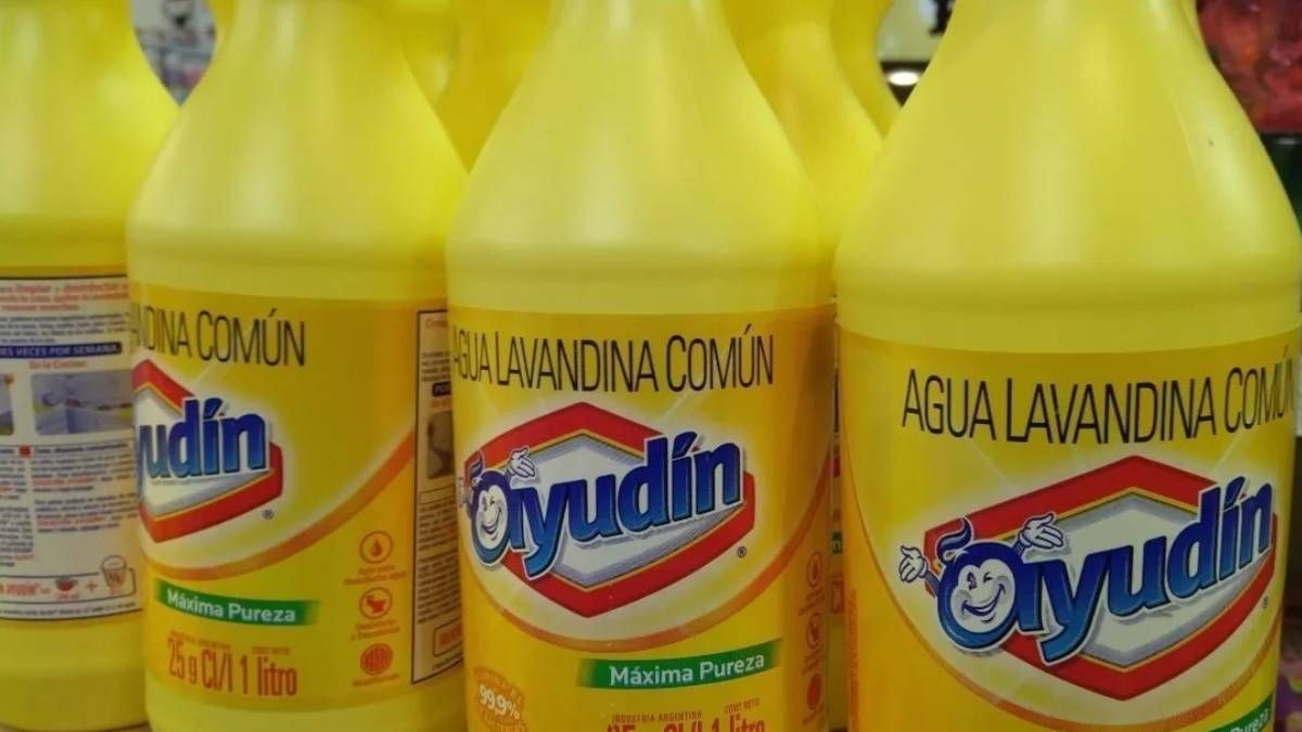 Recicla la botella de lavandina vacía con esta maravillosa idea DIY. Recicla la botella de lavandina vacía con esta maravillosa idea DIY.