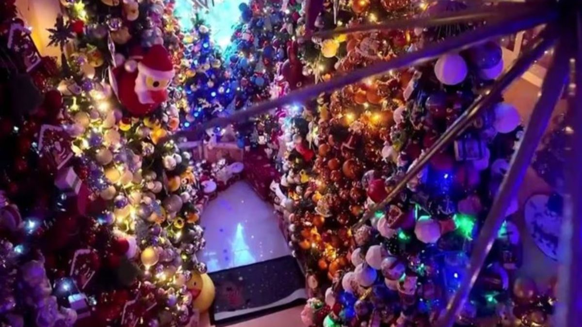 Los 621 árboles de Navidad decoran los distintos ambientes de la casa logrando que esta familia obtenga el récord Guinness Los 621 árboles de Navidad decoran los distintos ambientes de la casa logrando que esta familia obtenga el récord Guinness
