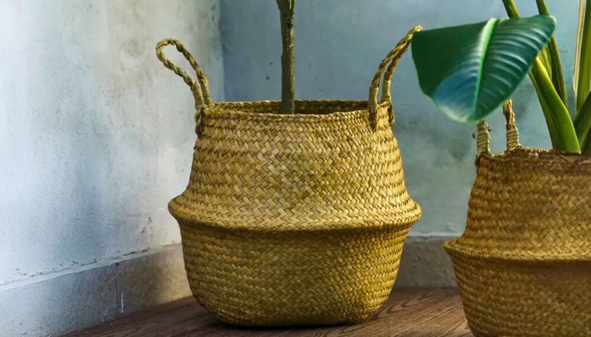 Adiós a las macetas tradicionales: el recipiente para cultivar plantas que aporta un toque rústico al jardín