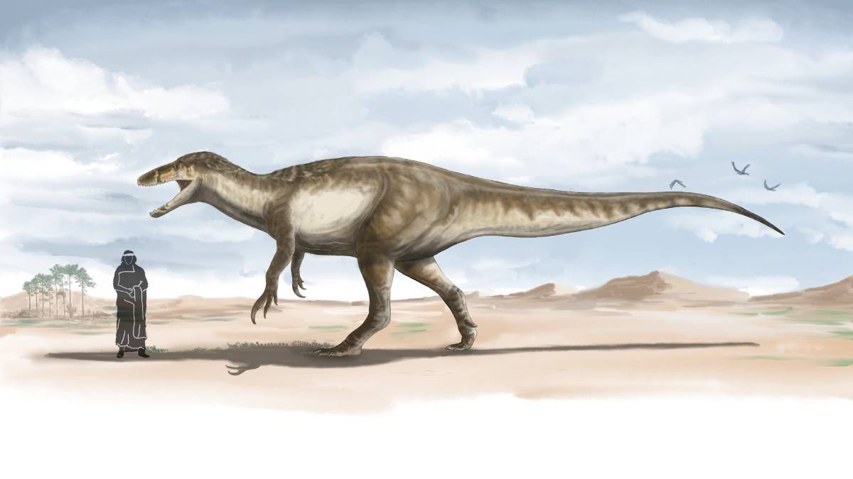 El dinosaurio Aerosteon riocoloradensis tiene 75 millones de año y es el ejemplar más grande encontrado en Mendoza.