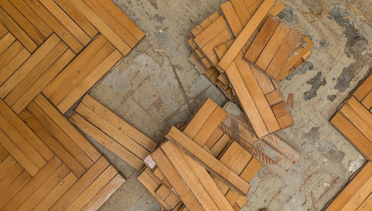 Si la madera está muy rota, lo mejor es buscar un profesional. Si la madera está muy rota, lo mejor es buscar un profesional. 