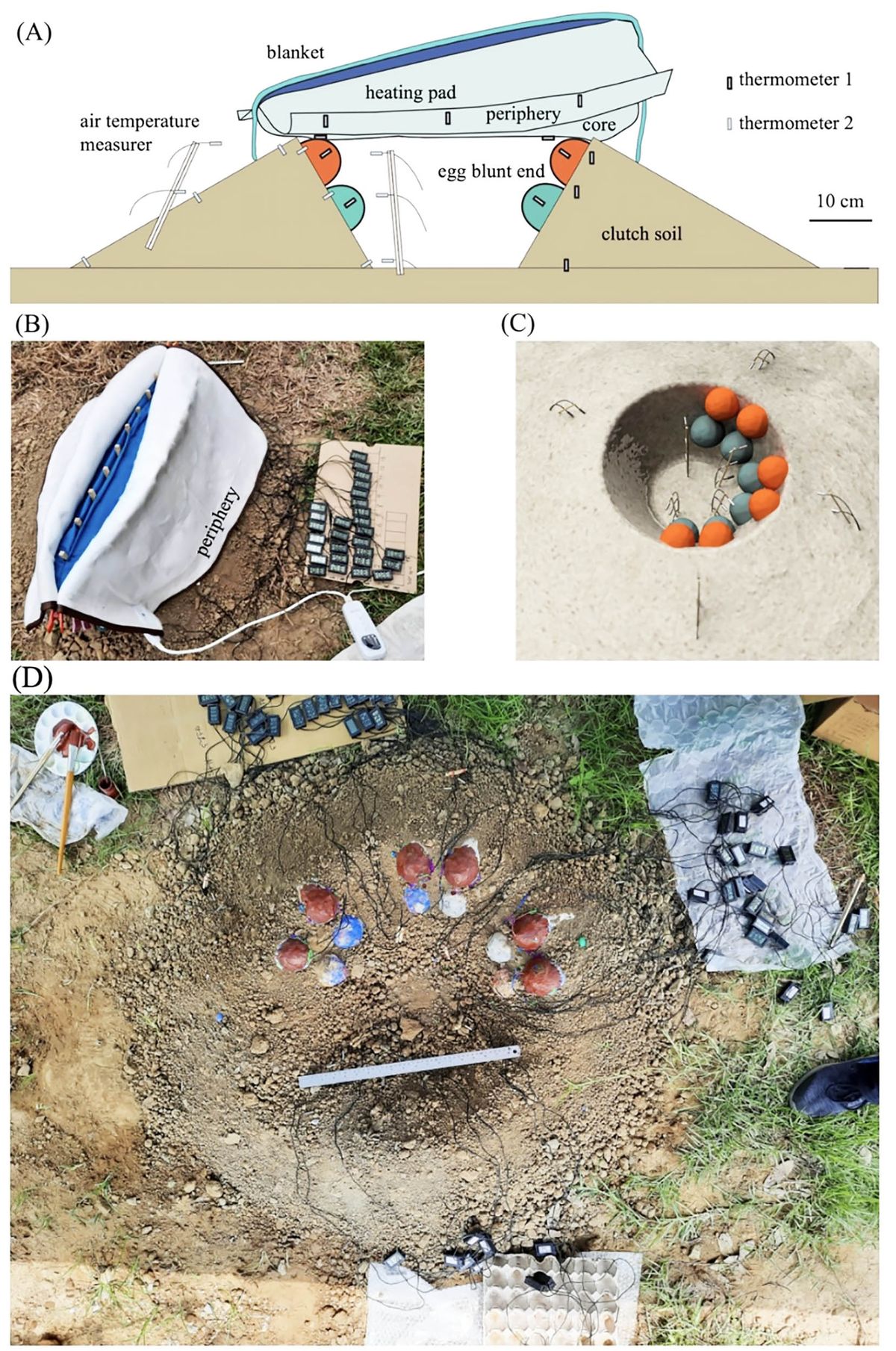 Los cient&iacute;ficos estudiaron hasta el &uacute;ltimo detalle de los nidos para el estudio.