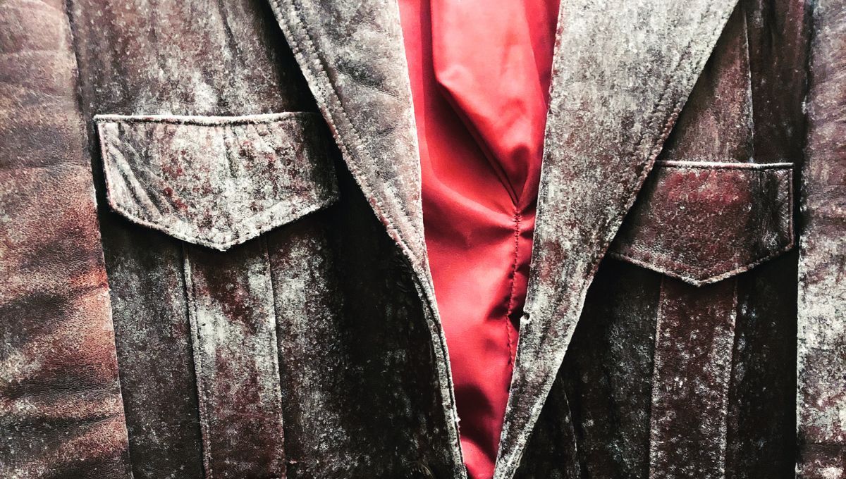 Si almacenás tus prendas de cuero en un sitio con humedad, las mismas se llenarán de hongos y moho