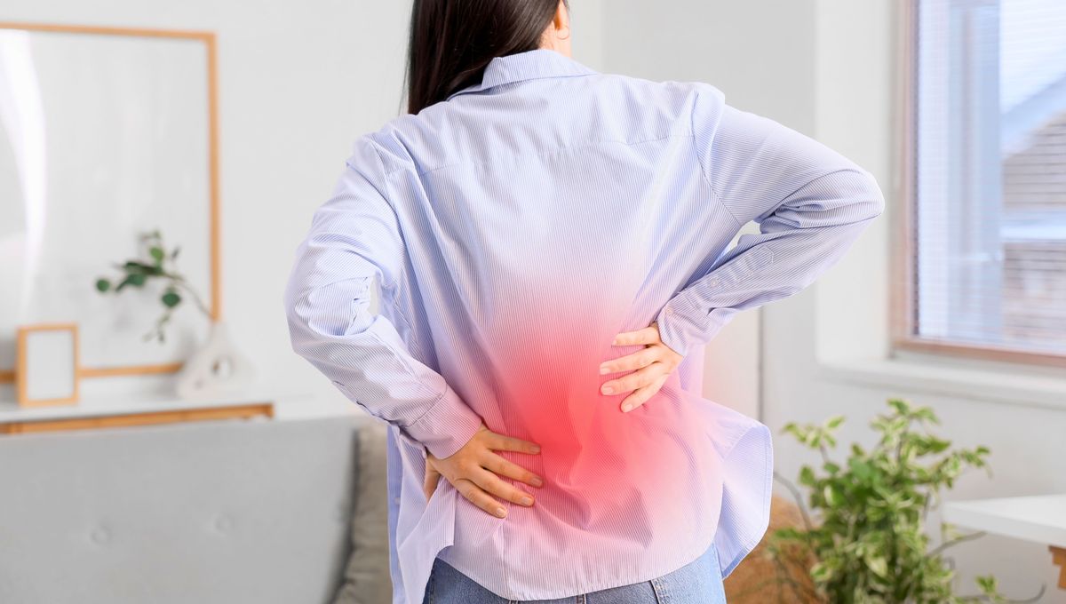 Una almohada para mantener la espalda en la silla, sin dolor y con una buena postura.&nbsp;