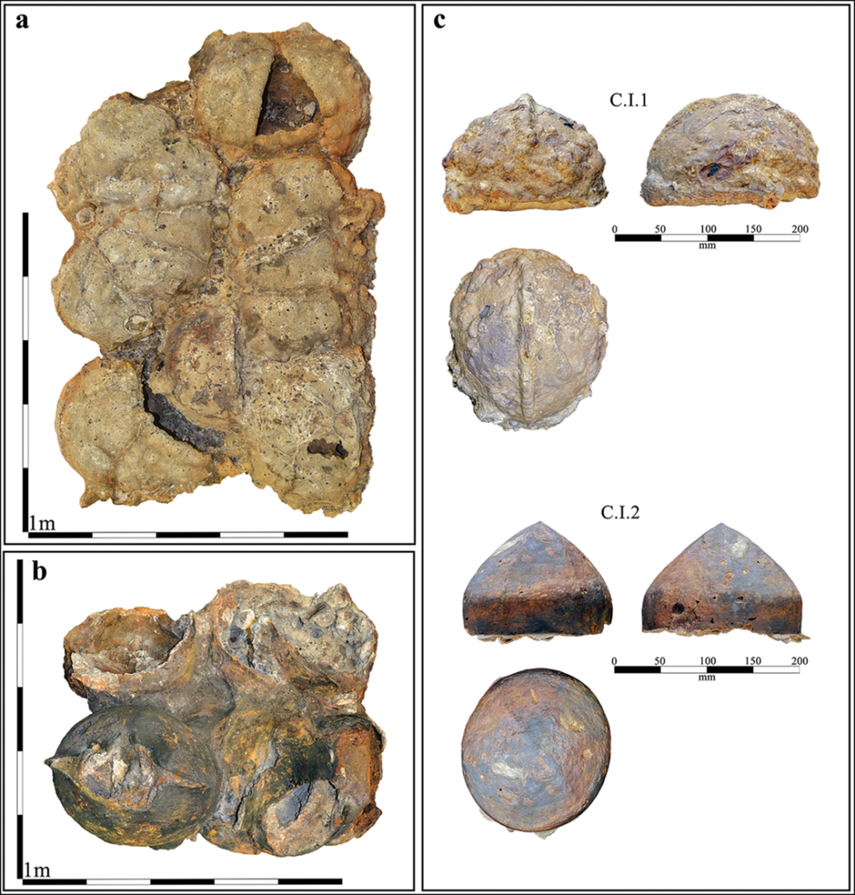 Durante más de 30 años se creyó que estos cascos pertenecían a la época romana. Imagen: Frallicciardi M, et al. Durante más de 30 años se creyó que estos cascos pertenecían a la época romana. Imagen: Frallicciardi M, et al.