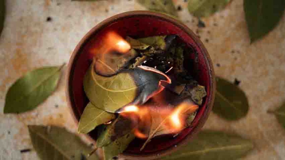 Quemar hojas de laurel y esparcir el humo por la casa, un buen ritual para alejar malas ondas.