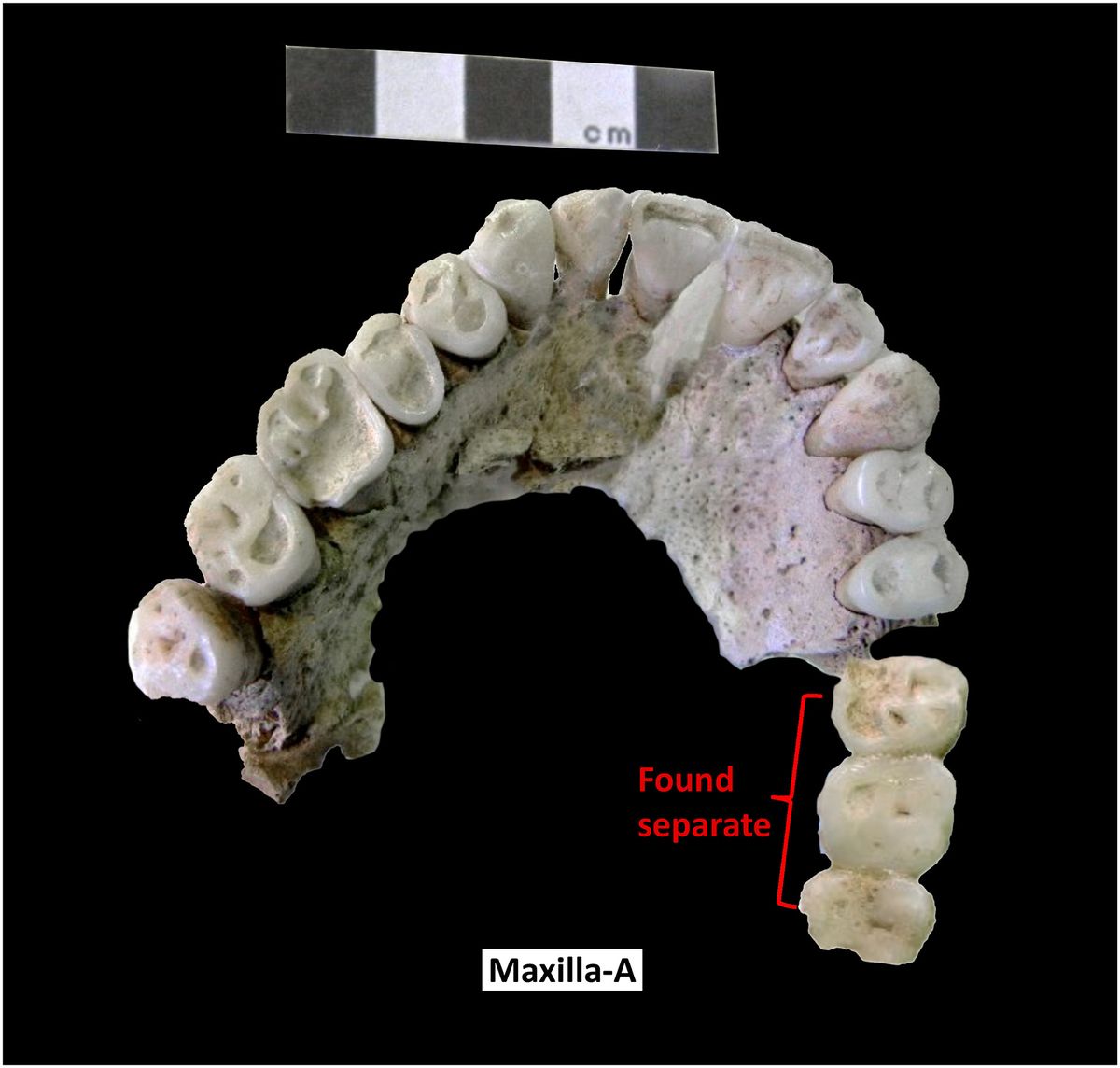 Un nuevo análisis llevó a un curioso descubrimiento. Un nuevo análisis llevó a un curioso descubrimiento.