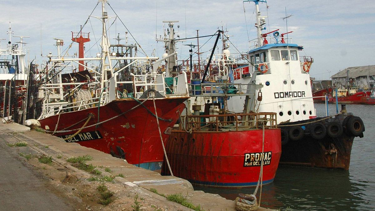 Diputados analizan la problemática los residuos marítimos del sector pesquero.