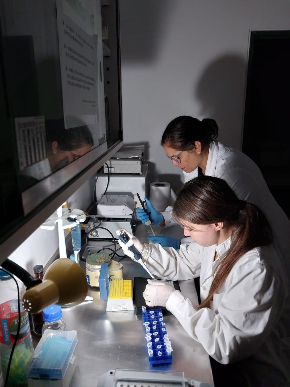 Parte del equipo del laboratorio de endocrinología