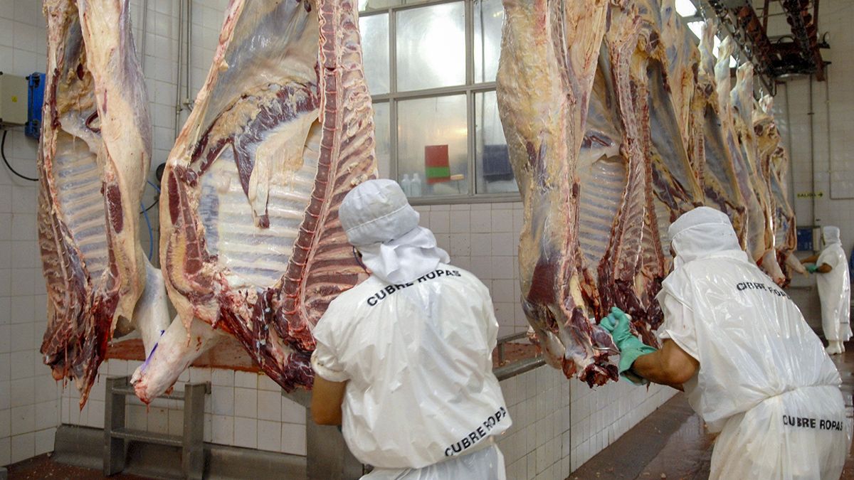 Exportación de carne: el lunes se flexibilizará el cepo - Vimarsana News