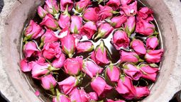 ¿Cómo conservar el agua de rosas?