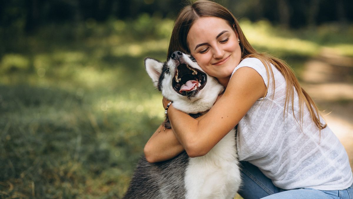 Estudios científicos no recomiendan abrazar a los perros.&nbsp;