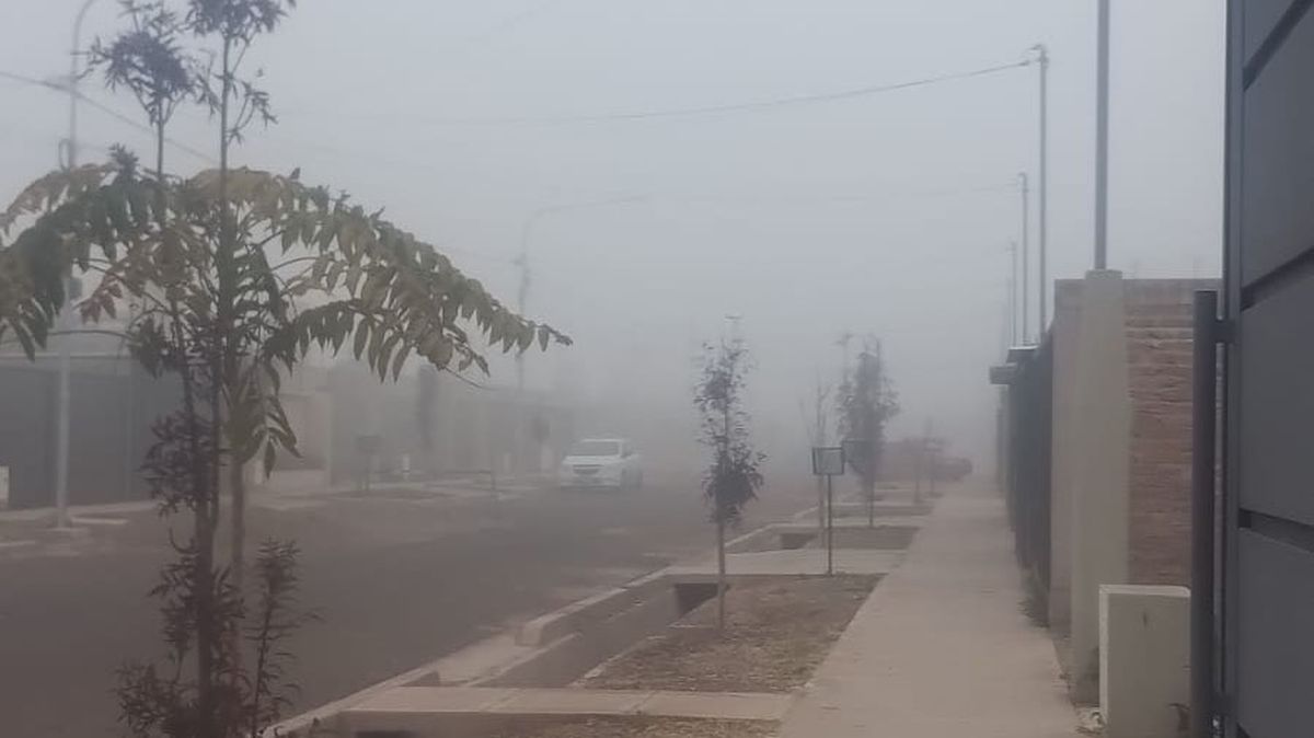 El Servicio Meteorológico Nacional había advertido sobre bancos de niebla o neblina en Mendoza, como en este barrio de la Ciudad de Maipú. El Servicio Meteorológico Nacional había advertido sobre bancos de niebla o neblina en Mendoza, como en este barrio de la Ciudad de Maipú. 