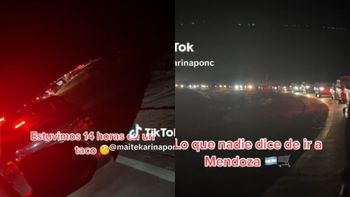 Vino de Chile a Mendoza de compras y reveló 
