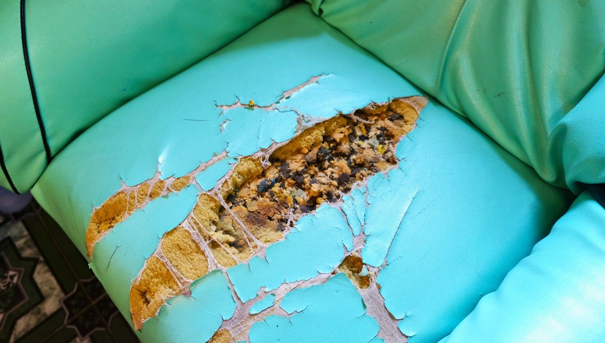 Este truco no sirve en rajaduras u orificios muy grandes en el sillón. Este truco no sirve en rajaduras u orificios muy grandes en el sillón. 