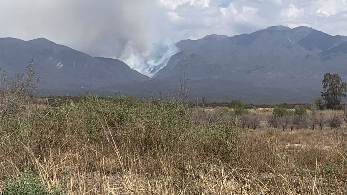 Una de las primeras imágenes del incendio que se registró este sábado en las inmediaciones del Cerro Arco. Foto: @Osvaldo13724266 Una de las primeras imágenes del incendio que se registró este sábado en las inmediaciones del Cerro Arco. Foto: @Osvaldo13724266