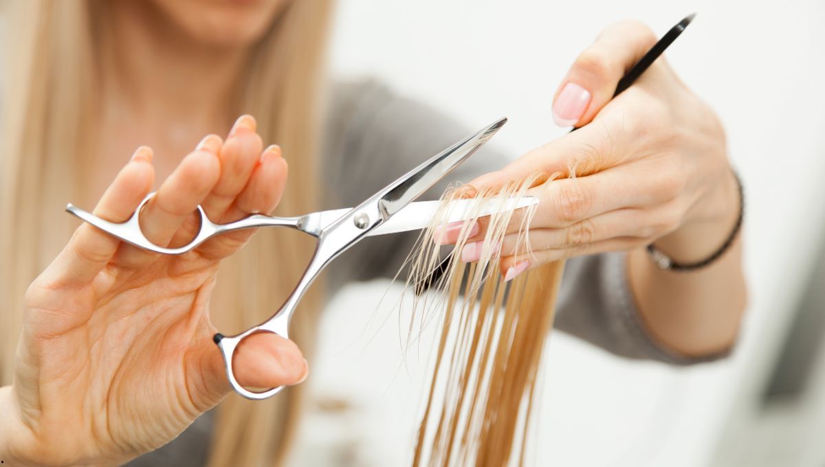 Cada tanto es importante cortar las puntas secas del pelo. Imagen: archivo Cada tanto es importante cortar las puntas secas del pelo. Imagen: archivo