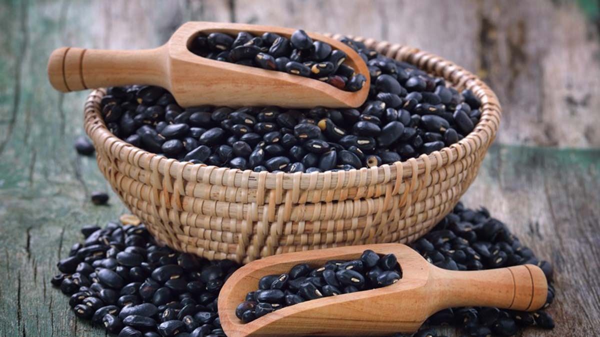 Fibra y prote&iacute;nas. Son las que aportan los porotos negros, entre otras propiedades.&nbsp;