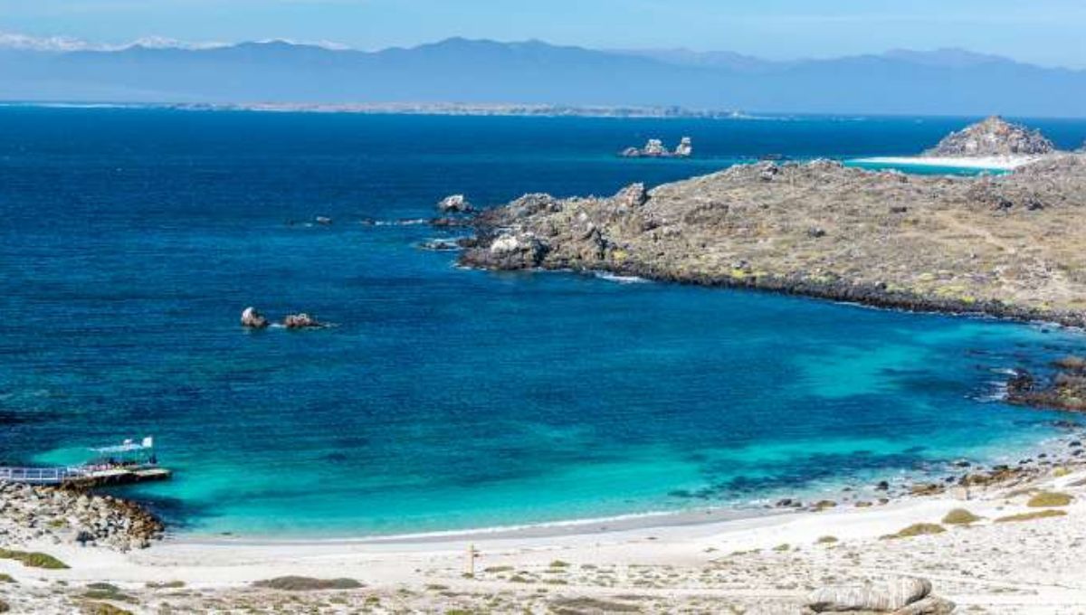 La gigante sumergida de América del Sur: descubre la montaña submarina más alta del mundo