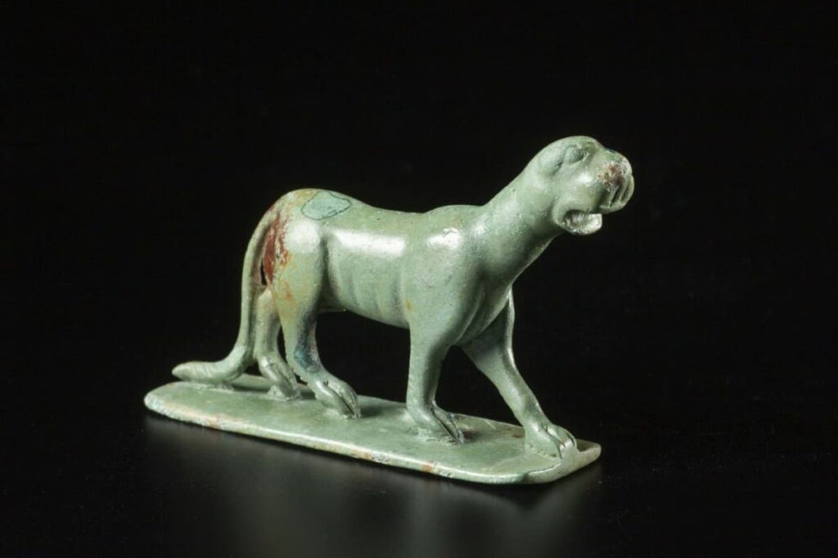 Hubo varios objetos curiosos dentro del descubrimiento. Hubo varios objetos curiosos dentro del descubrimiento.