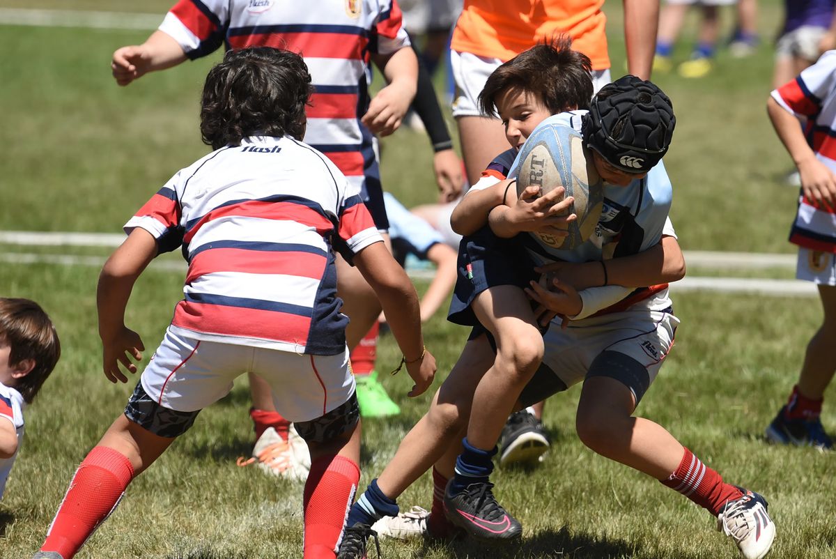Marista recibe a los niños de todo el país y Chile.