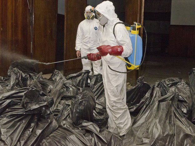 Capital sacó más de 1.200 kilos de caca de paloma del ex cine City