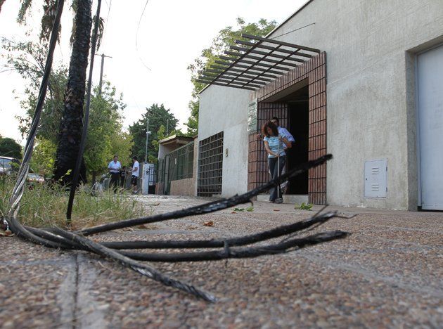 Incendiaron de forma intencional una palmera y se quemaron los cables de alta tensión