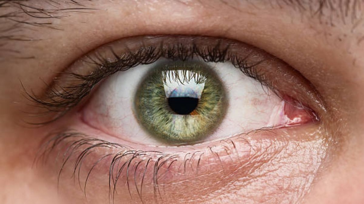 Si tienes ojos verdes o marrones, se sugiere utilizar este color de tinte.