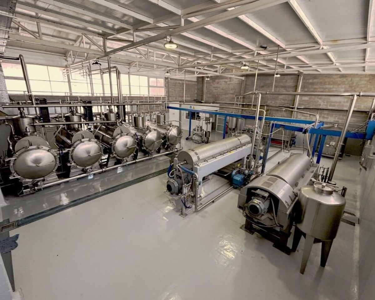 En el 2004 los Zuccardi fueron pioneros en elaborar aceites de oliva monovarietales con la variedad Arauco. En el 2004 los Zuccardi fueron pioneros en elaborar aceites de oliva monovarietales con la variedad Arauco.