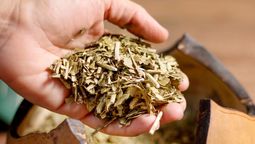 Los trucos para preparar una yerba natural se centran en agregar especias y yuyos.