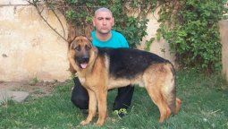 Marcos Herrero, el adiestrador de perros condenado por plantar pruebas.