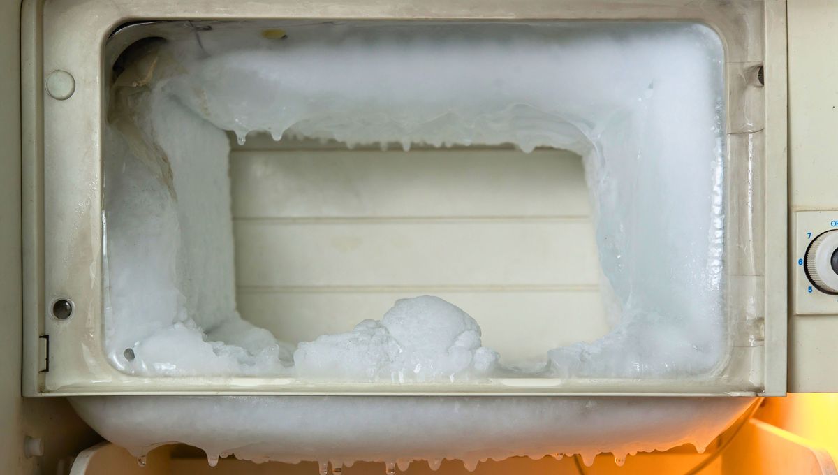Un freezer que funciona bien es ideal para mantener los alimentos seguros y en buen estado. Un freezer que funciona bien es ideal para mantener los alimentos seguros y en buen estado. 