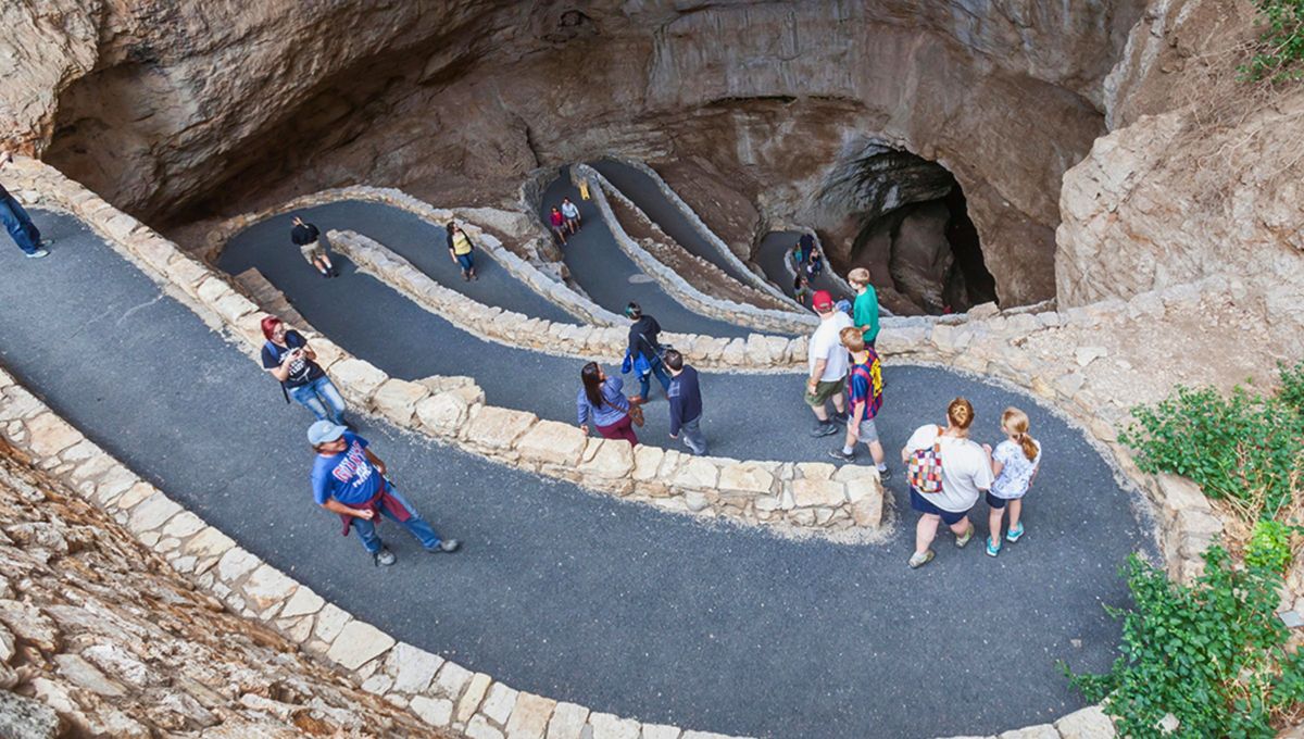 Ubicado en el estado de Nuevo México, este parque nacional de Estados Unidos sorprende por su paisaje subterráneo.