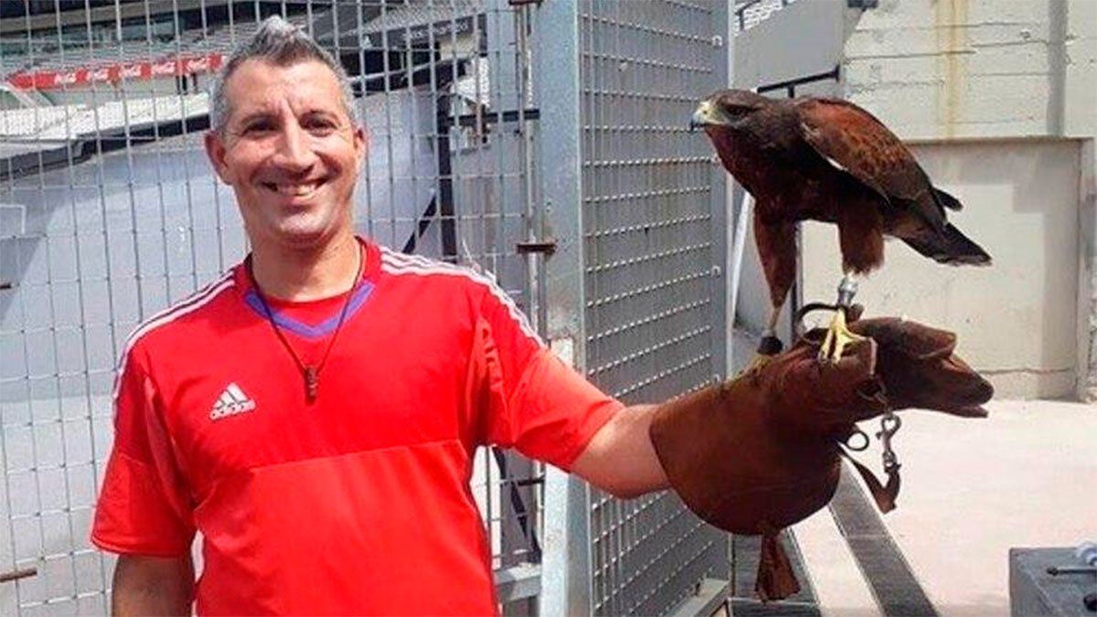 River contará con dos gavilanes para cuidar el renovado césped del estadio Monumental.