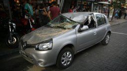 Qué tenés que hacer si un árbol cae sobre tu auto