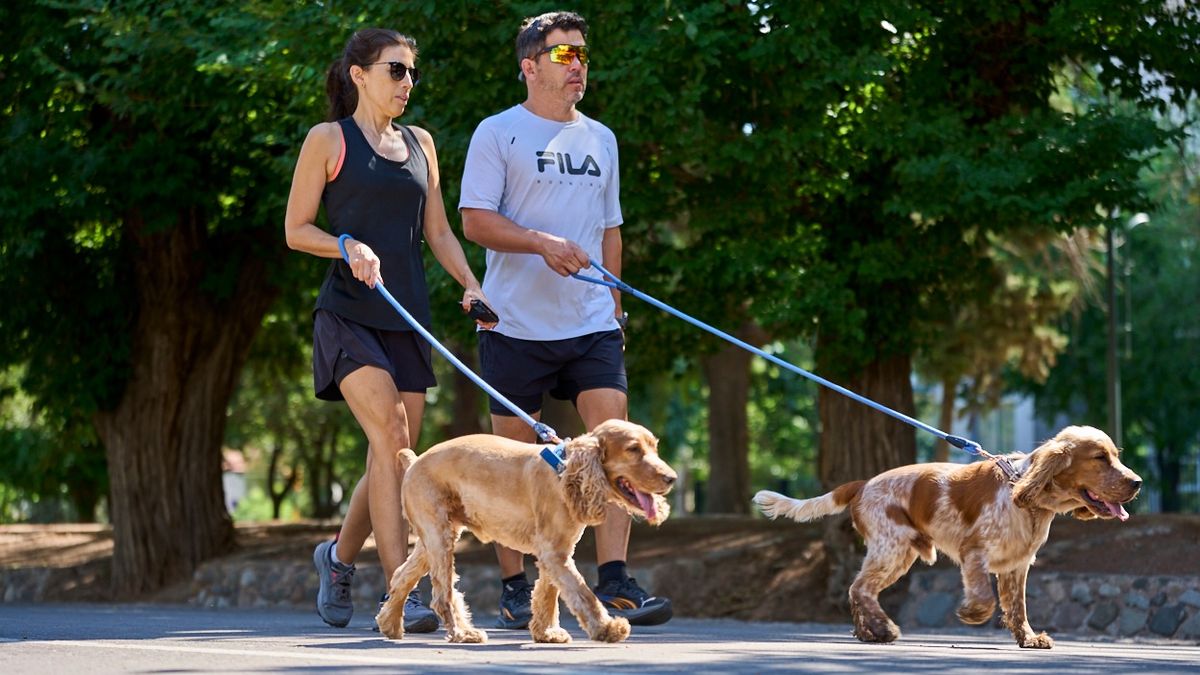 Tomá las medidas necesarias para cuidarte de las temperaturas elevadas. Tomá las medidas necesarias para cuidarte de las temperaturas elevadas.