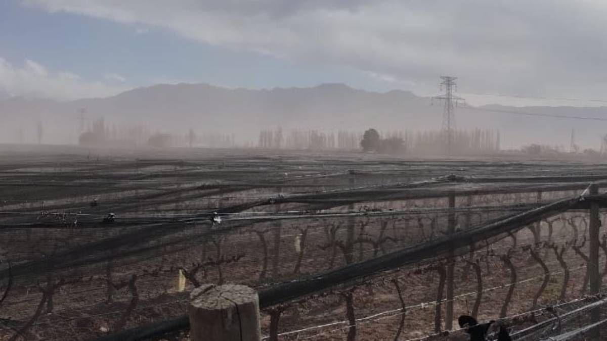 El pronóstico del tiempo en Mendoza indica nuevamente la presencia de viento Zonda para el llano. El pronóstico del tiempo en Mendoza indica nuevamente la presencia de viento Zonda para el llano.