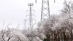 Las tormentas invernales azotan a los Estados Unidos.