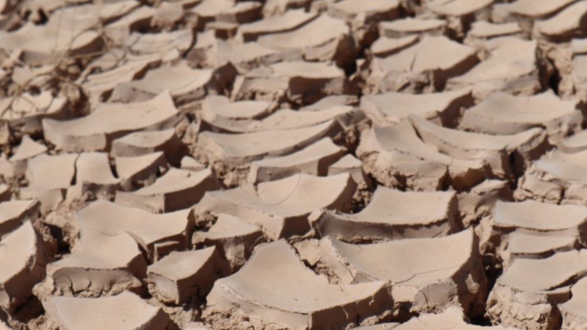 Sonora, México. (Foto: Allison Astorga, Unsplash) Sonora, México. (Foto: Allison Astorga, Unsplash)