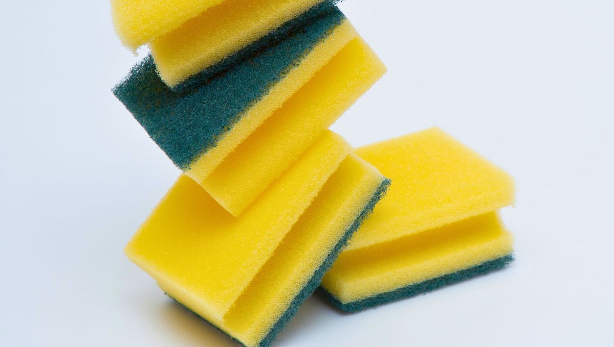 Este tipo de esponjas fue dise&ntilde;ado con esa forma por una raz&oacute;n muy interesante.&nbsp;