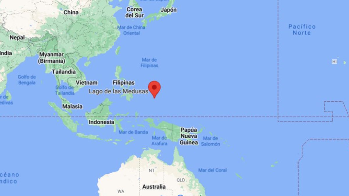 Palaos es un archipiélago de 500 islas ubicado en el Océano Pacífico donde se puede nadar con medusas inofensivas. 