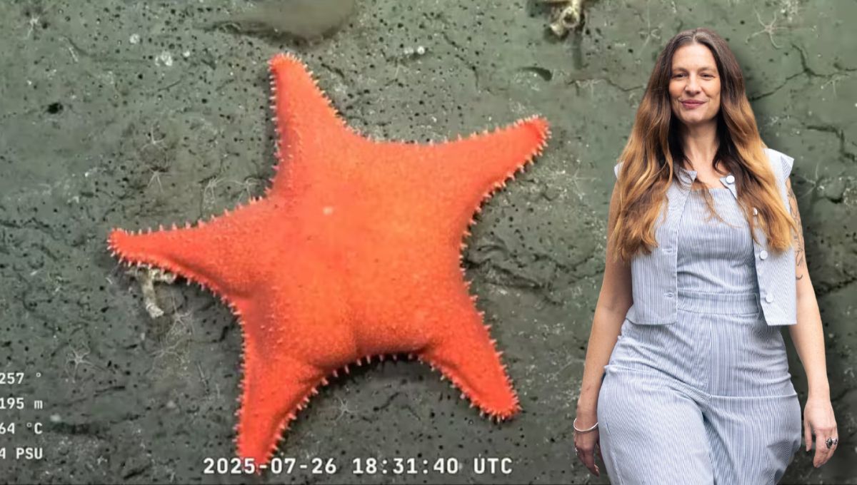 Nadia Coralina deslumbró a los asistentes del BAFWEEK al debutar como modelo