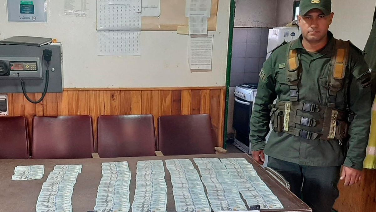 Los dólares incautados por Gendarmería nacional.