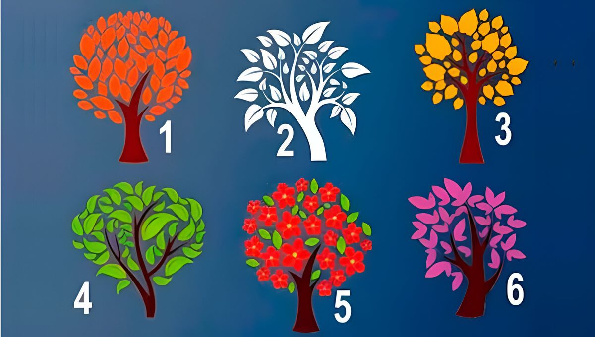 Explora tu mundo interior de manera entretenida