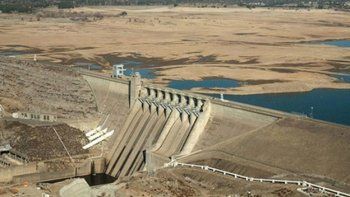 Árboles y salmones mueren en California