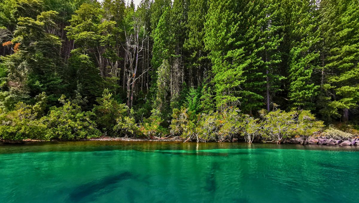 El Lago Nahuel Huapi, de 100 km de largo y el más antiguo con 90 años, se extiende a lo largo de varios brazos que se funden con los picos circundantes, y sus cascadas. El Lago Nahuel Huapi, de 100 km de largo y el más antiguo con 90 años, se extiende a lo largo de varios brazos que se funden con los picos circundantes, y sus cascadas.
