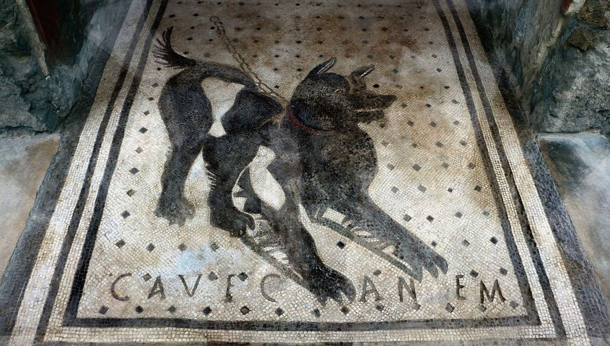 Cave canem, mosaico de Pompeya Cave canem, mosaico de Pompeya