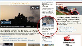 Un portal español publicó una nota sobre el oso Arturo titulada: 